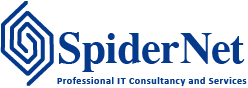 Spider Net logo